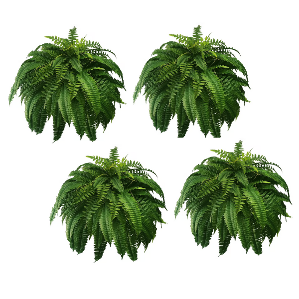 🔥Last Day 75% OFF--🌿UV Resistant Lifelike Artificial Boston Fern
