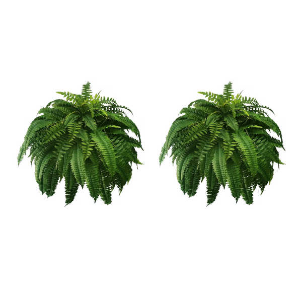 (2 PCS)🔥BUY 1 GET 1 FREE 🔥